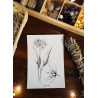 atelier la mallette - lucie deck - Ail des ours - Carte postale - print - illustratrice - artisanat d'art - noel